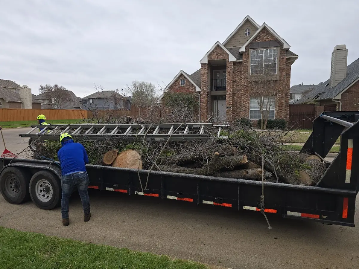 Expert Lot Clearing with proper safety equipment in Jensen Beach